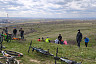 В Саратове цветут степной миндаль и дикие ирисы