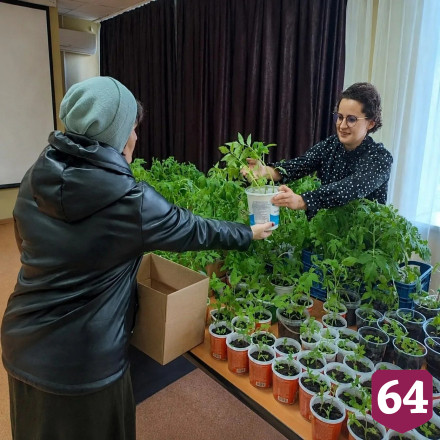 В Саратовской области социальные работники создали Школу открытий